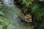 4 dscf0020